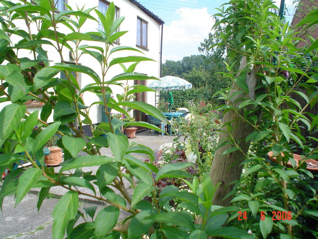 The Elms Bed & Breakfast East Harling Ngoại thất bức ảnh